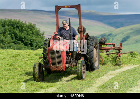 Landwirt in Wensleydale drehen Rasen, Heu mit einem Oldtimer Massey Ferguson-Traktor zu machen. Hawes, North Yorkshire, UK. Stockfoto