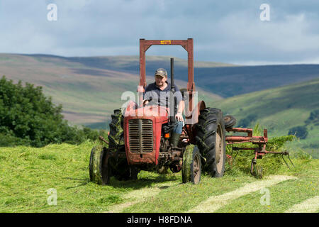 Landwirt in Wensleydale drehen Rasen, Heu mit einem Oldtimer Massey Ferguson-Traktor zu machen. Hawes, North Yorkshire, UK. Stockfoto