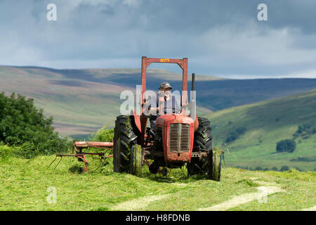 Landwirt in Wensleydale drehen Rasen, Heu mit einem Oldtimer Massey Ferguson-Traktor zu machen. Hawes, North Yorkshire, UK. Stockfoto