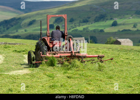 Landwirt in Wensleydale drehen Rasen, Heu mit einem Oldtimer Massey Ferguson-Traktor zu machen. Hawes, North Yorkshire, UK. Stockfoto