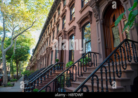 Grünen Sommer Blick auf die Zeile von neigt auf einer der legendären Straßen des Viertels Brownstone Brooklyn in New York City Stockfoto