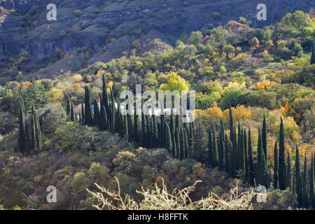 Botanischer Garten bei Sonnenuntergang in Stadt Tbilisi, Georgia, Europa Stockfoto