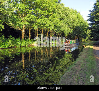 Bridgewater Kanal Runcorn im Sommer, Ufer mit Kahn, Cheshire, England, UK Stockfoto