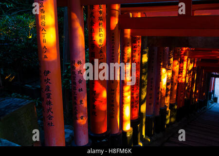 Kyoto, Japan. Detail der hölzerne Torii im Fushimi-Inari-Schrein in späten Nachmittag Licht. Stockfoto