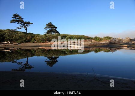 Überlegungen zur ruhigen Morgen Creekside Stockfoto