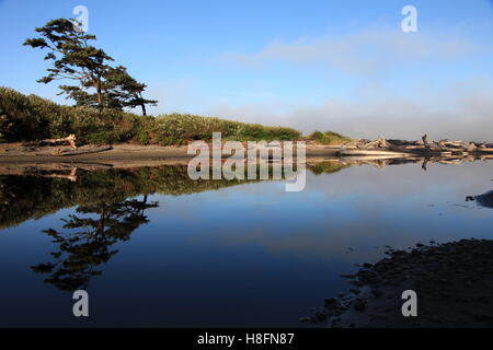 Überlegungen zur ruhigen Morgen Creekside Stockfoto