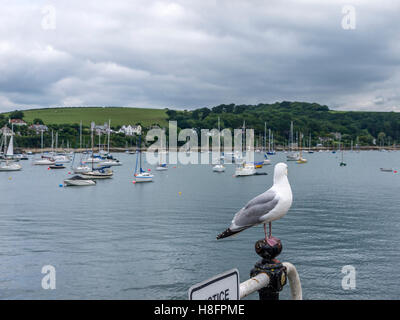 Möwe thront auf ein Tor, beobachten die Welt gehen, mit Yachten Parks im Hintergrund. Stockfoto