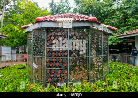 Kambodschanischen Landmine Museum, Angkor, Siem Reap, Kambodscha Stockfoto