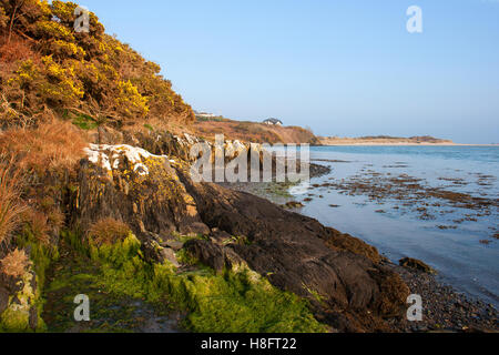 Ebbe in einer sandigen Bucht am Inchadowney Beach im County Cork an der Süd Küste von Irland zeigt die Wellen im sand Stockfoto