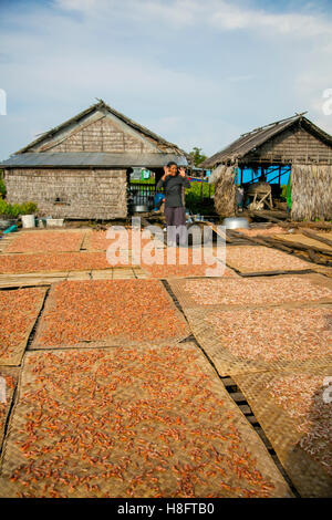 Getrocknete Garnelen, Graben Khla, schwimmenden Fischerdorf, Tonle Sap See, Kambodscha Stockfoto