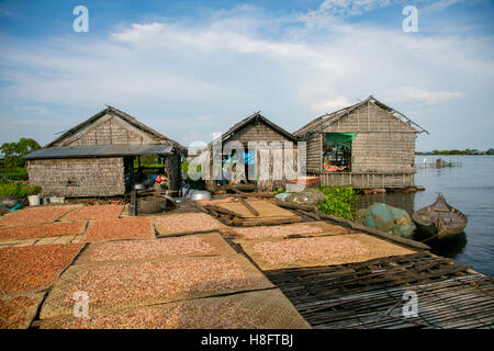 Getrocknete Garnelen, Graben Khla, schwimmenden Fischerdorf, Tonle Sap See, Kambodscha Stockfoto