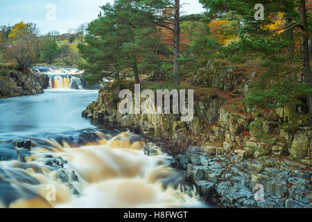 Low Force Wasserfall im oberen Teesdale, Stockfoto