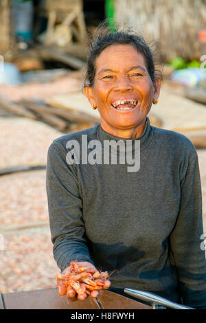 Getrocknete Garnelen, Graben Khla, schwimmenden Fischerdorf, Tonle Sap See, Kambodscha Stockfoto