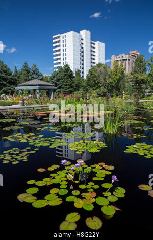 Denver, Colorado - Monet-Pool in Denver Botanic Gardens. Stockfoto