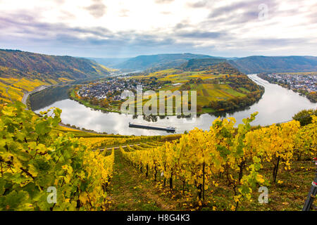 Mosel-Tal, nahe dem Dorf Kröv, Deutschland, Mosel, Flussschleife, Weinberge im Herbst, Frachtschiff auf dem Fluss, Stockfoto