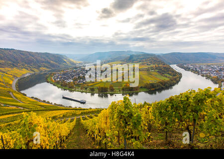 Mosel-Tal, nahe dem Dorf Kröv, Deutschland, Mosel, Flussschleife, Weinberge im Herbst, Frachtschiff auf dem Fluss, Stockfoto