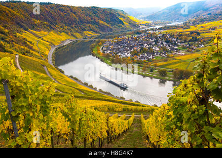 Mosel-Tal, nahe dem Dorf Kröv, Deutschland, Mosel, Flussschleife, Weinberge im Herbst, Frachtschiff auf dem Fluss, Stockfoto