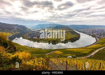 Mosel-Tal, nahe dem Dorf Kröv, Deutschland, Mosel, Flussschleife, Weinberge im Herbst, Frachtschiff auf dem Fluss, Stockfoto