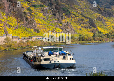 Moseltal, Herbst, Mosel nahe dem Dorf von Bremm, Deutschland, Frachtschiff, Stockfoto