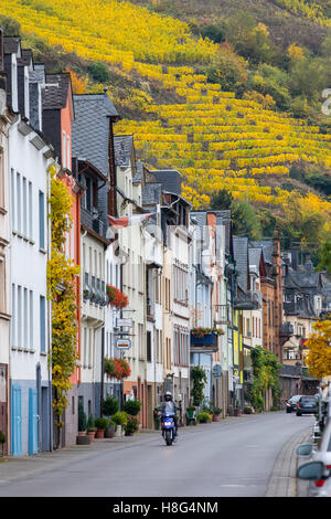 Mosel, Herbst, Straße mit Häusern unter einem Weinberg in der Ortschaft Zell an der Mosel, Stockfoto