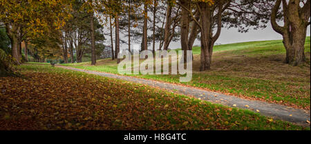 Morgen im Ravenhill Park Stockfoto