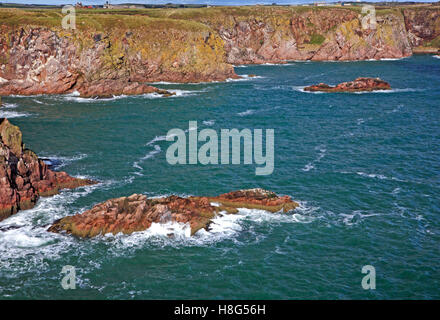 Ein Blick auf die steilen Klippen und Felsenküste am Bullers Buchan, Aberdeenshire, Schottland, Vereinigtes Königreich. Stockfoto