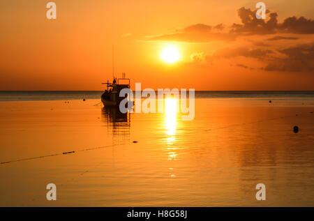 Angelboote/Fischerboote im Hafen bei Sonnenuntergang, Phuket, Thailand Stockfoto