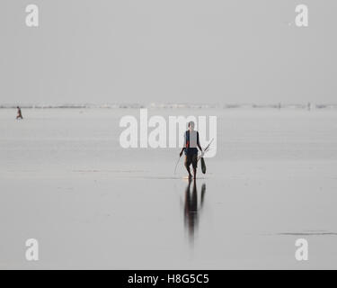 Einheimischen sammeln Seeigel in der Lagune auf der Insel Sansibar Stockfoto