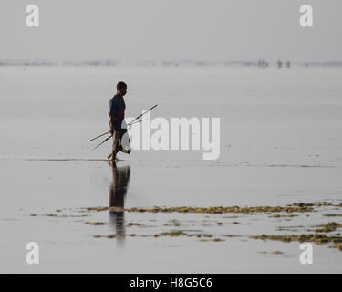 Einheimischen sammeln Seeigel in der Lagune auf der Insel Sansibar Stockfoto