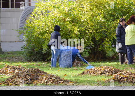 Slawjansk-Na-Kubani, Russland-9. September 2016: die Arbeiter der Gemeinde sammeln Blätter im Park. Frauen-Sozialarbeiter Stockfoto