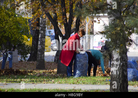 Slawjansk-Na-Kubani, Russland-9. September 2016: die Arbeiter der Gemeinde sammeln Blätter im Park. Frauen-Sozialarbeiter Stockfoto