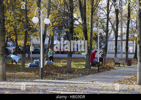 Slawjansk-Na-Kubani, Russland-9. September 2016: die Arbeiter der Gemeinde sammeln Blätter im Park. Frauen-Sozialarbeiter Stockfoto