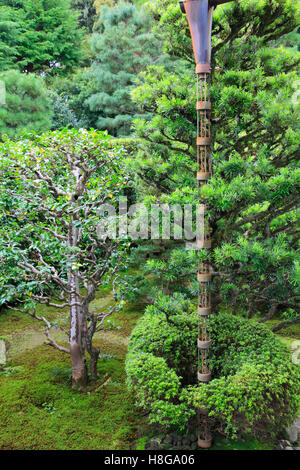 Japan, Kyoto, Tofoku-ji, Funda-in, Garten, Stockfoto