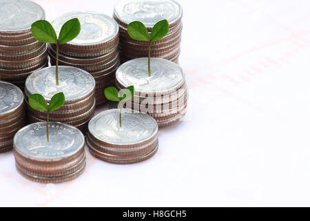 Silbermünze-Stack und Baumkrone in Business-Wachstum-Konzept auf Papierhintergrund. Stockfoto