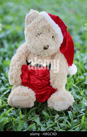 Teddybär sitzen auf dem Rasen im Konzept, Festival und Event of Christmas Day. Stockfoto