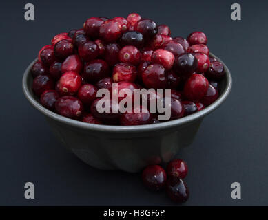 Nahaufnahme von frischen roten und braunen Preiselbeeren gehäuft in Vintage Zinn geriffelte Schale mit drei Lose Beeren auf schwarzem Hintergrund Stockfoto