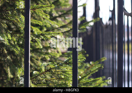 Straße Schmiedeeisen Zaun Stockfoto