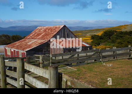 Wirtschaftsgebäude am Kadaver Siedlung auf den Falklandinseln. Stockfoto