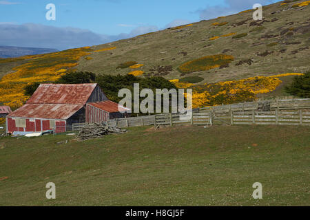 Wirtschaftsgebäude am Kadaver Siedlung auf den Falklandinseln. Stockfoto