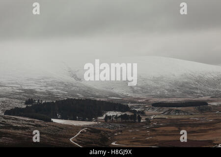 Der Cainrgorms Nationalpark in Schottland, Großbritannien. Stockfoto