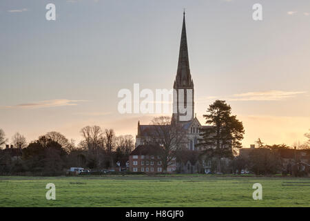 Salisbury Kathedrale, gebaut im 13. Jahrhundert im gotischen Stil, hat den höchste Turm in das Vereinigte Königreich, Salisbury, welken Stockfoto