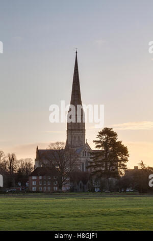 Salisbury Kathedrale, gebaut im 13. Jahrhundert im gotischen Stil, hat den höchste Turm in das Vereinigte Königreich, Salisbury, welken Stockfoto