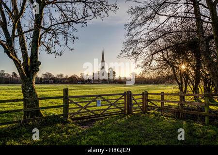 Salisbury Kathedrale, gebaut im 13. Jahrhundert im gotischen Stil, hat den höchste Turm in das Vereinigte Königreich, Salisbury, welken Stockfoto