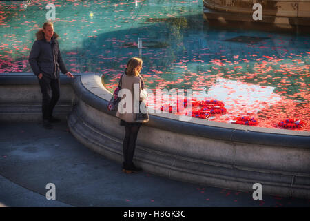Trafalgar Square, London, UK, 11. November 2016. Rote Mohnblumen und Kränze schweben auf dem Wasser der Brunnen am Trafalgar Square am Tag des Waffenstillstands. Tag des Waffenstillstands, Gedenktag oder Poppy Day wird jedes Jahr am 11. November gefeiert.  Eine zwei Minuten Stille wird um 11:00 jeden 11 November beobachtet, um diejenigen zu gedenken, die während des ersten Weltkrieges und neuere Konflikte ums Leben gekommen. Bildnachweis: Eden Breitz/Alamy Live-Nachrichten Stockfoto