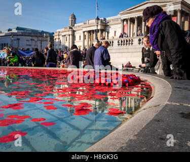 Trafalgar Square, London, UK, 11. November 2016. Rote Mohnblumen und Kränze schweben auf dem Wasser der Brunnen am Trafalgar Square am Tag des Waffenstillstands. Tag des Waffenstillstands, Gedenktag oder Poppy Day wird jedes Jahr am 11. November gefeiert.  Eine zwei Minuten Stille wird um 11:00 jeden 11 November beobachtet, um diejenigen zu gedenken, die während des ersten Weltkrieges und neuere Konflikte ums Leben gekommen. Bildnachweis: Eden Breitz/Alamy Live-Nachrichten Stockfoto