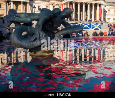 Trafalgar Square, London, UK, 11. November 2016. Rote Mohnblumen und Kränze schweben auf dem Wasser der Brunnen am Trafalgar Square am Tag des Waffenstillstands. Tag des Waffenstillstands, Gedenktag oder Poppy Day wird jedes Jahr am 11. November gefeiert.  Eine zwei Minuten Stille wird um 11:00 jeden 11 November beobachtet, um diejenigen zu gedenken, die während des ersten Weltkrieges und neuere Konflikte ums Leben gekommen. Bildnachweis: Eden Breitz/Alamy Live-Nachrichten Stockfoto