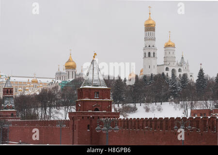 Moskau, Russland. Samstag, 12. November 2016. Frühwinter in Moskau. Keine Sonne, bewölkt. Leichte frost bis zu-5 Grad Celsius (+ 23F) durch den Abend, stetige Schneefall, aber nicht sehr schwer. Moskauer Kreml-Mauer und Kathedralen in Schneefall. Goldene Kuppel der Erzengel Kathedrale (links), Kuppeln von Ivan The Great Bell tower (rechts) Credit: Alex Bilder/Alamy Live News Stockfoto