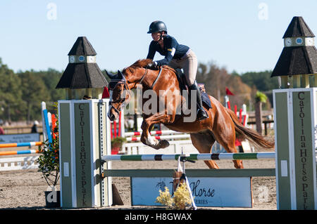 Raeford, North Carolina, USA. 11. November 2016. 12. November 2016 - Raeford, North Carolina, USA - ausgewählte Pferdesport Archivbilder 2016 Krieg Horse Event Serie Meisterschaften ab 12. November im Carolina Horse Park in Raeford, N.C.-gegründet im Jahr 2013 als die Kabine Zweig Veranstaltungsreihe, Krieg-Horse-Event-Reihe besteht aus fünf Pferd Studien und kombinierte Tests und zieht Reiter und ihre Pferde aus ganzen Osten der USA. © Timothy L. Hale/ZUMA Draht/Alamy Live-Nachrichten Stockfoto