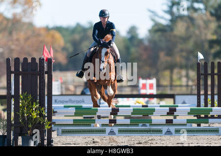 Raeford, North Carolina, USA. 11. November 2016. 12. November 2016 - Raeford, North Carolina, USA - ausgewählte Pferdesport Archivbilder 2016 Krieg Horse Event Serie Meisterschaften ab 12. November im Carolina Horse Park in Raeford, N.C.-gegründet im Jahr 2013 als die Kabine Zweig Veranstaltungsreihe, Krieg-Horse-Event-Reihe besteht aus fünf Pferd Studien und kombinierte Tests und zieht Reiter und ihre Pferde aus ganzen Osten der USA. © Timothy L. Hale/ZUMA Draht/Alamy Live-Nachrichten Stockfoto