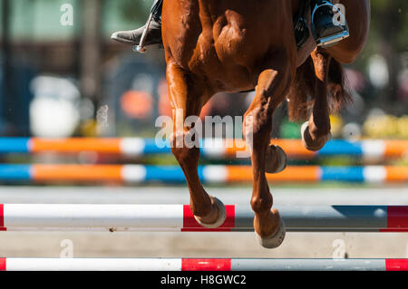 Raeford, North Carolina, USA. 11. November 2016. 12. November 2016 - Raeford, North Carolina, USA - ausgewählte Pferdesport Archivbilder 2016 Krieg Horse Event Serie Meisterschaften ab 12. November im Carolina Horse Park in Raeford, N.C.-gegründet im Jahr 2013 als die Kabine Zweig Veranstaltungsreihe, Krieg-Horse-Event-Reihe besteht aus fünf Pferd Studien und kombinierte Tests und zieht Reiter und ihre Pferde aus ganzen Osten der USA. © Timothy L. Hale/ZUMA Draht/Alamy Live-Nachrichten Stockfoto